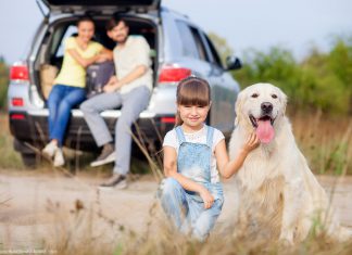 Deutschland Urlaub Hund Familie