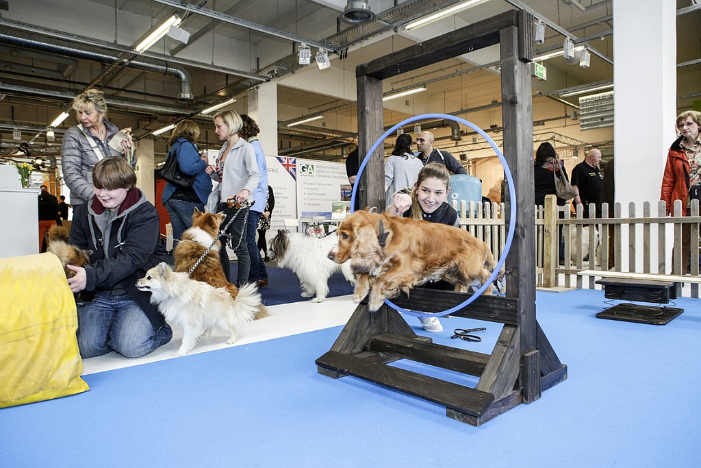 Münchner Heimtiermesse 2016