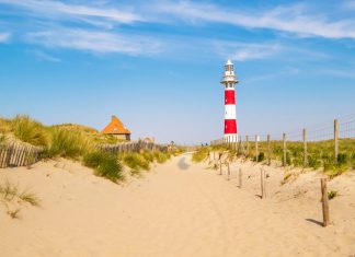 Urlaub Belgien Hund