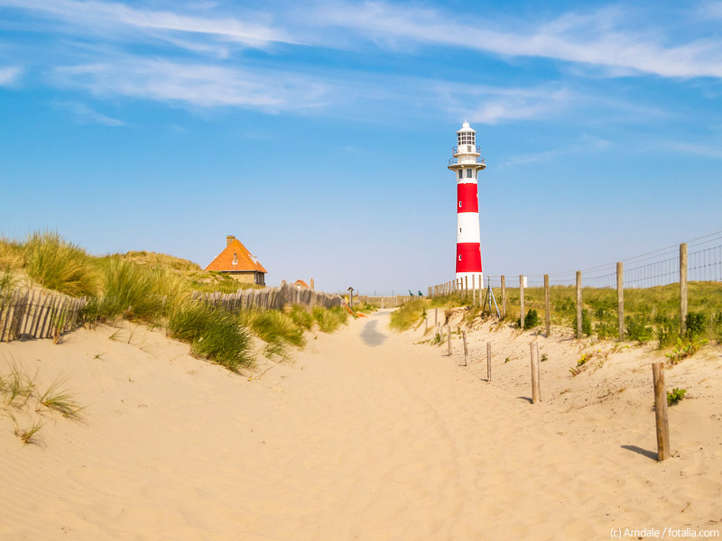 Urlaub Mit Hund In Belgien Die Schonsten Hundereisen Am Land Meer