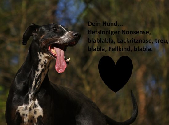 Dobermann Dalmatiner Mischling Zitat Herz Spruchbild