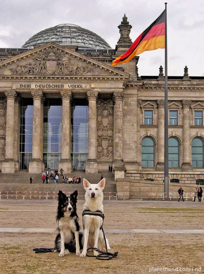 Hunde Berlin Deutschland Flagge