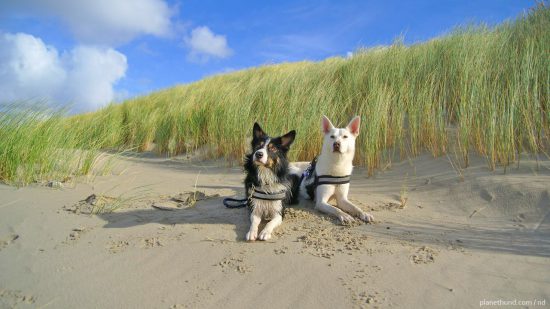 Ostsee Strand Urlaub