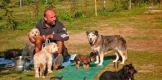 Camping mit Hunde in Salzburg