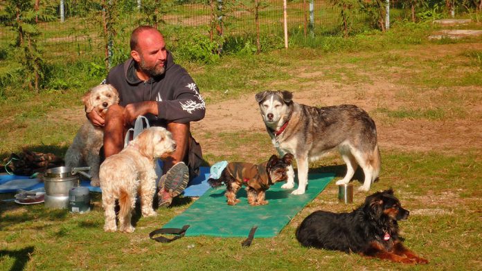 Camping mit Hunde in Salzburg
