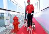 Hunde auf Kreuzfahrt mit der Queen Mary 2