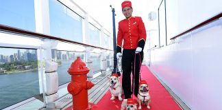 Hunde auf Kreuzfahrt mit der Queen Mary 2