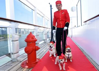 Hunde auf Kreuzfahrt mit der Queen Mary 2