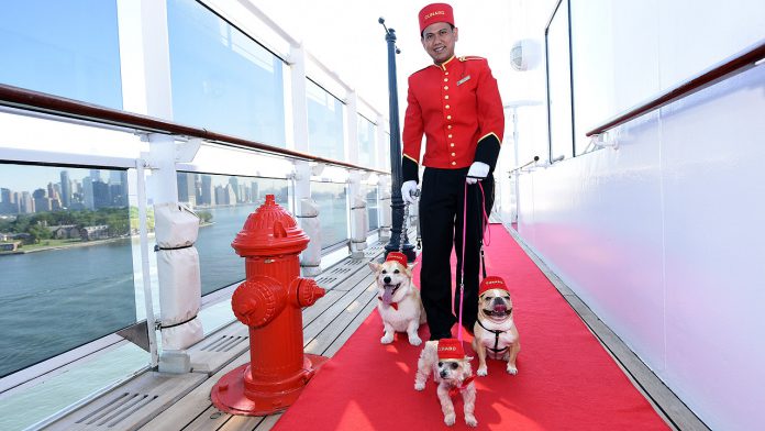 Hunde auf Kreuzfahrt mit der Queen Mary 2