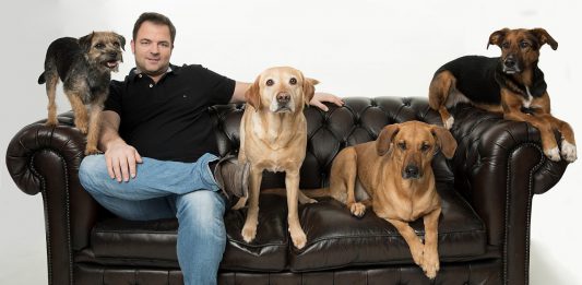 Allgemein Hund