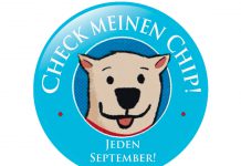 Check meinen Chip