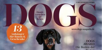 Dogs Award 2017