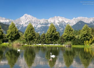 Österreich Urlaub mit Hund