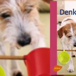 Denksport für Hunde