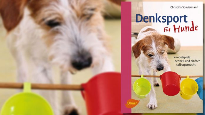 Denksport für Hunde