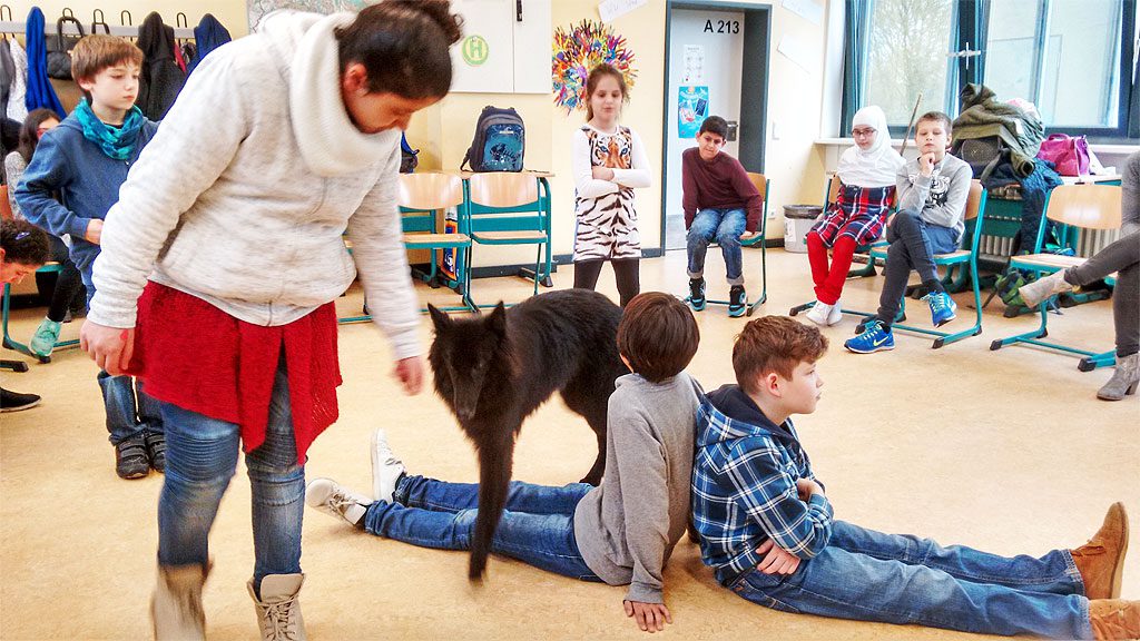 Schulhund an der Willy-Brandt-Gesamtschule Köln