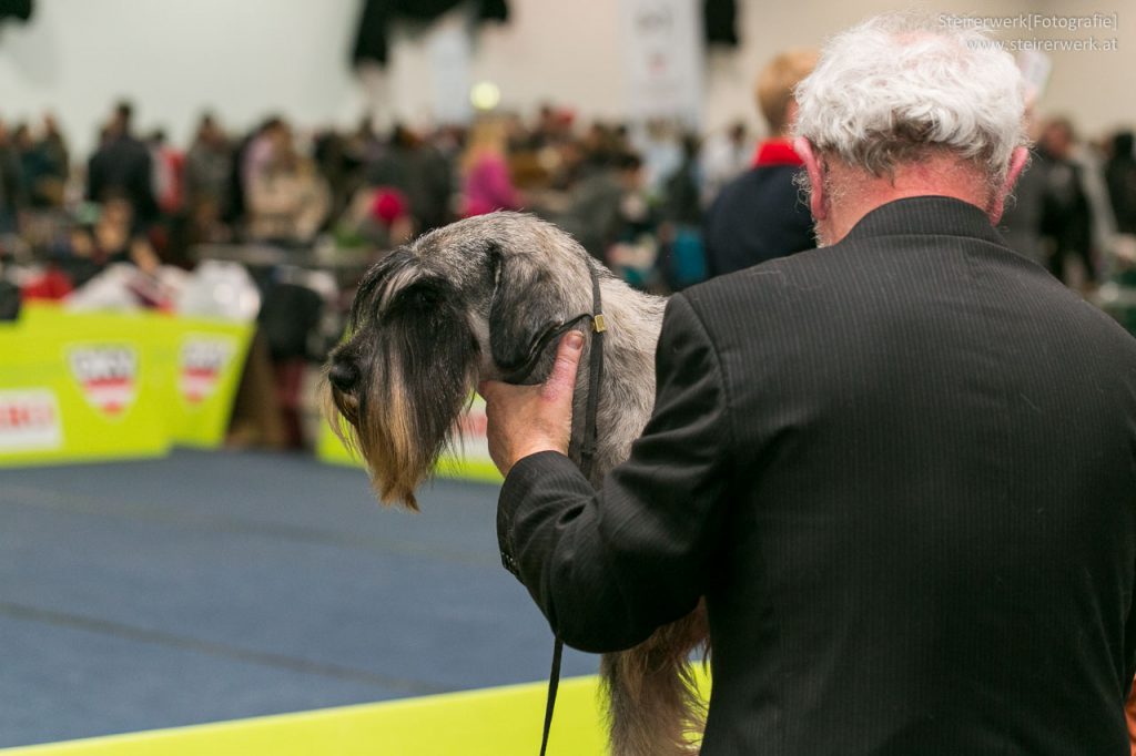 Hundeausstellung Züchter