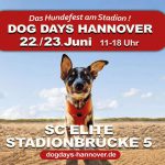 Dog Days Hannover