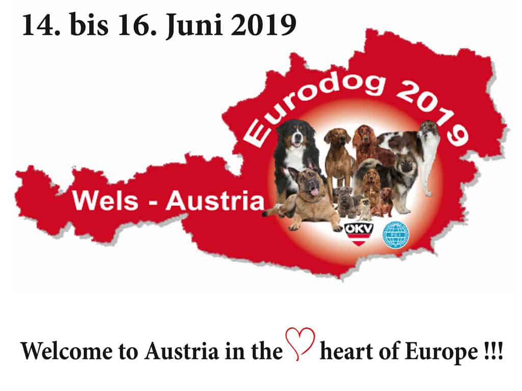 EURODOG Show & Austrian Winner 2019
