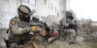 Bundesheer Militärhund