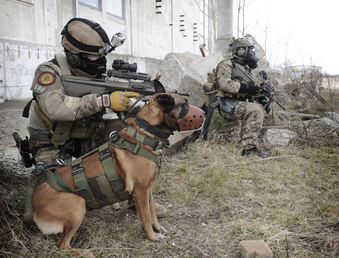 Bundesheer Militärhund