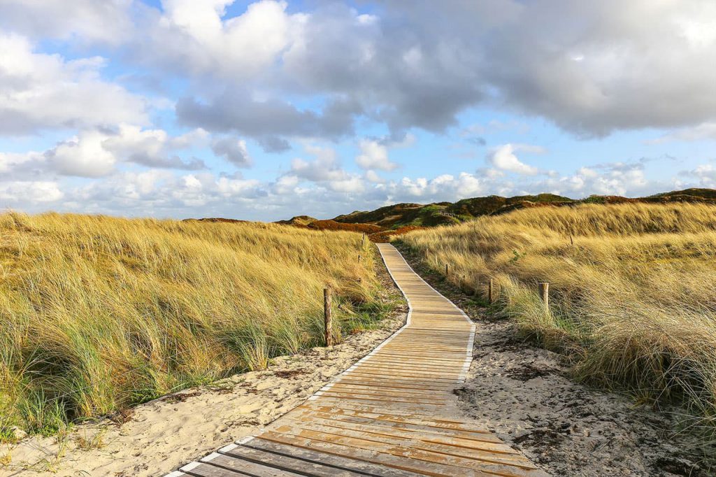 Wandern in den dänischen Dünen