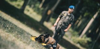 Corona Spürhund Bundesheer Ausbildung