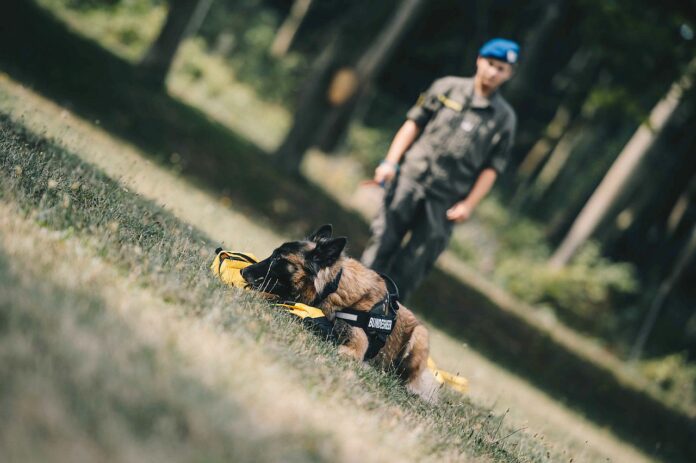 Corona Spürhund Bundesheer Ausbildung