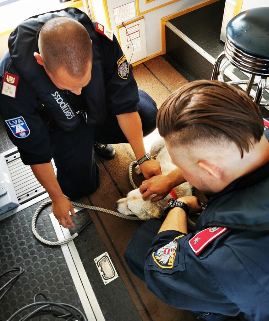 Wasserpolizei Wien Hund
