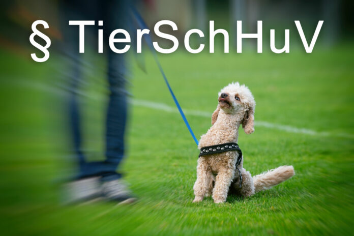 TierSchHuV