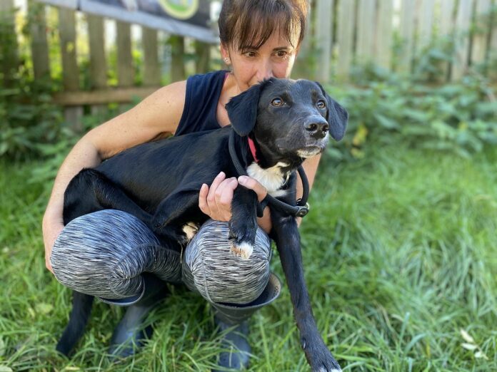 Hund Maxi mit Tierpflegerin