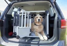 Hundetransportbox Auto ÖATMC Test