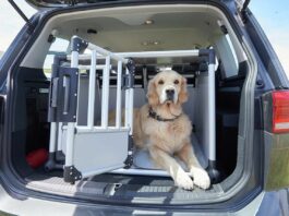 Hundetransportbox Auto ÖATMC Test