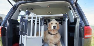 Hundetransportbox Auto ÖATMC Test