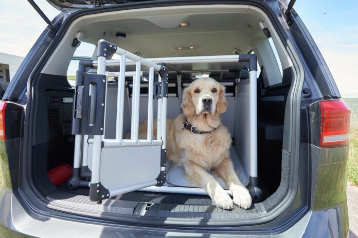 Hundetransportbox Auto ÖATMC Test