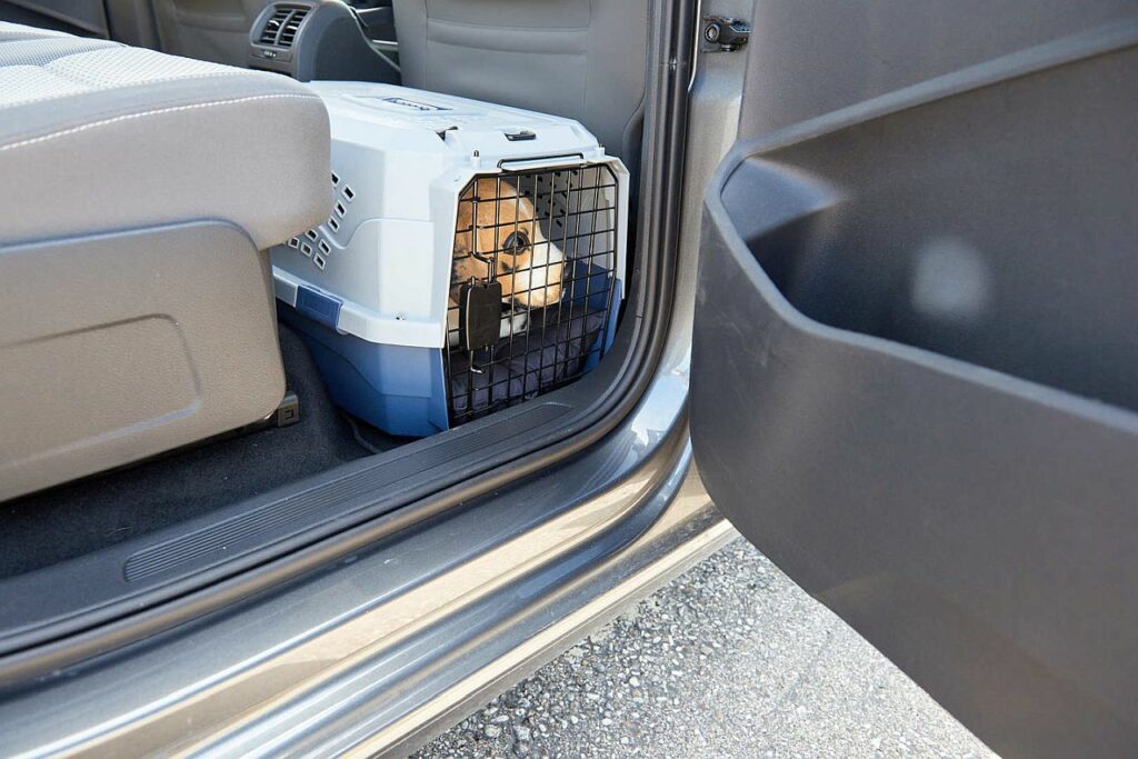 Hundetransportbox Beifahrersitz