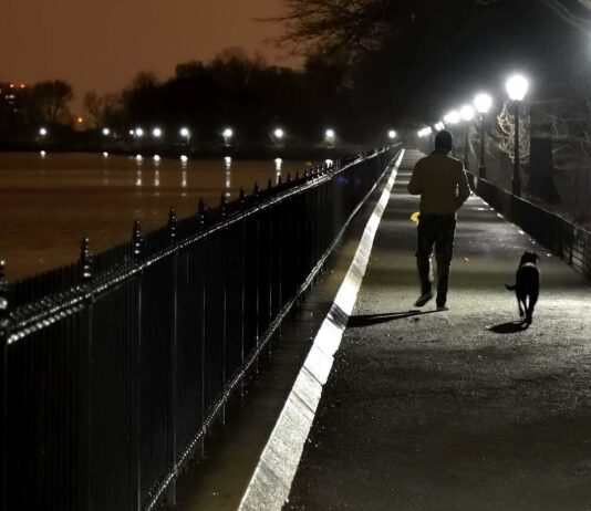 Spaziergang Hund Nacht