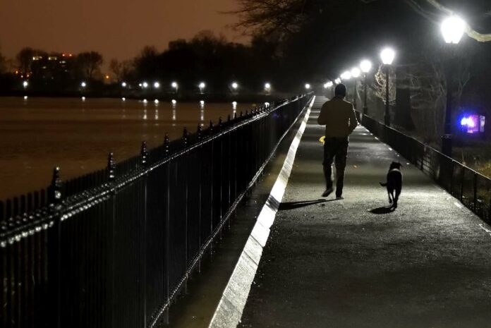 Spaziergang Hund Nacht