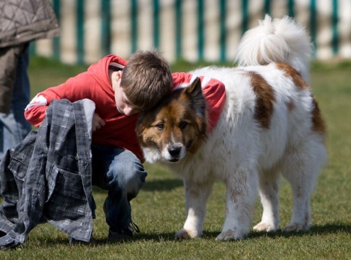 Hundeschulen Öffnung Protest in Deutschland