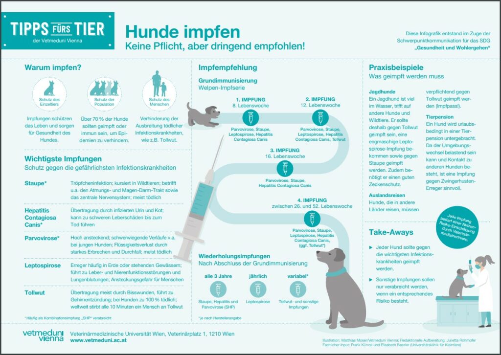 Hunde impfen Vetmeduni Vienna