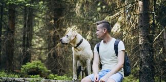 Mit Hund in der Natur