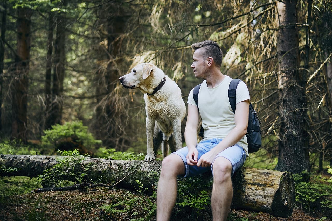 Rücksichtsvoll Hunden in der Natur: Hunde anzeigen