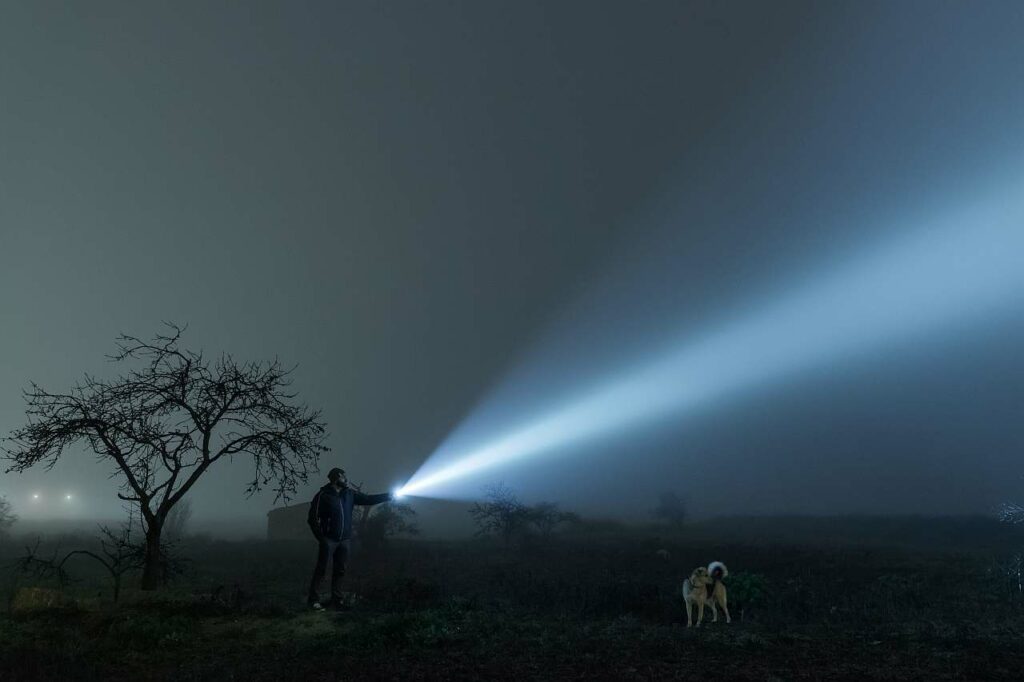 Hund Suche in der Nacht mit Taschenlampe