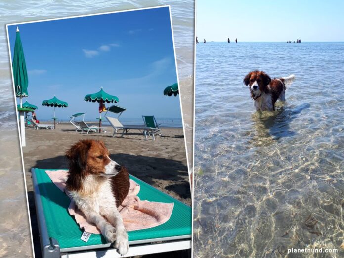 Hundestrand Caorle Bau Beach