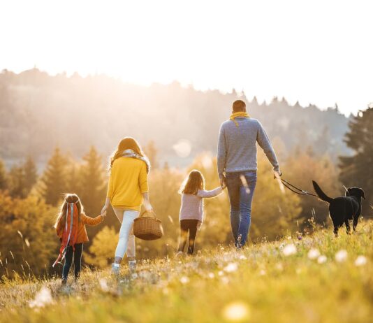 Familienhund Ratgeber