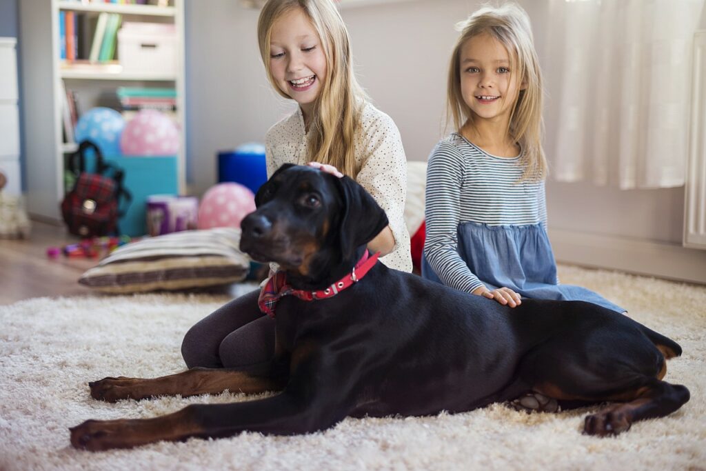 Kinder mit Hund