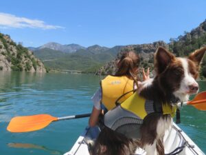 Kanu-Tour mit Hund in Katalonien