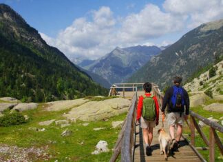 Unterwegs in Katalonien mit Hund