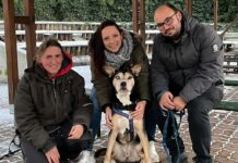 Rocky im Tierheim