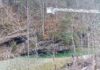 Mensch Hund Rettung aus eiskaltem Fluss